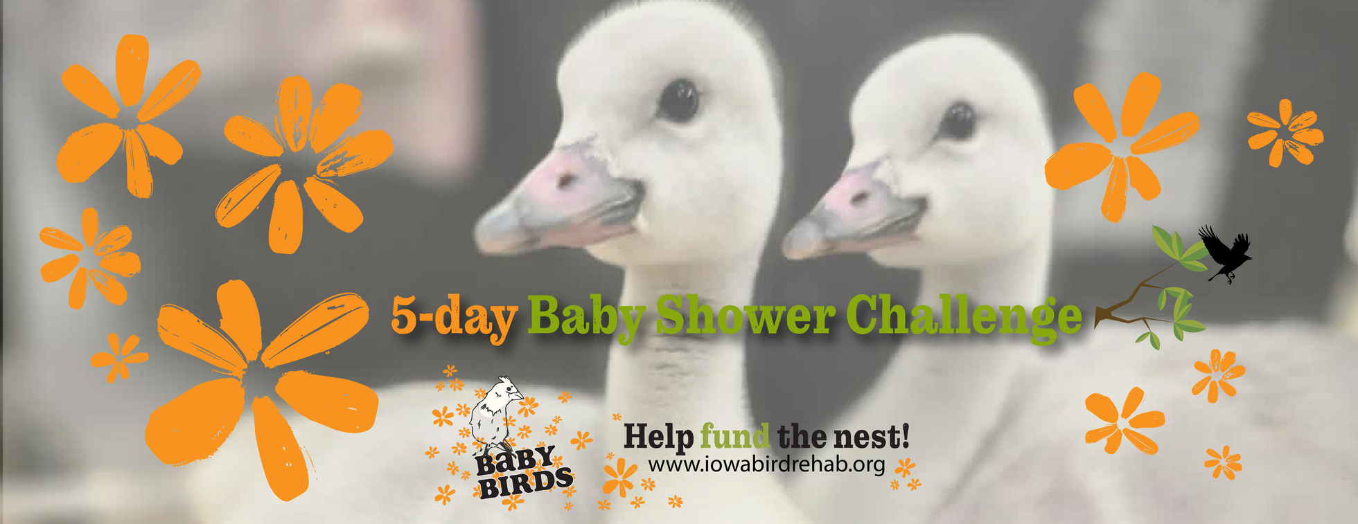 5-Day Baby Shower Challenge